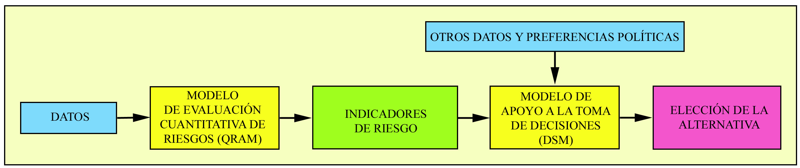Figura 1: Procedimiento de decisión racional